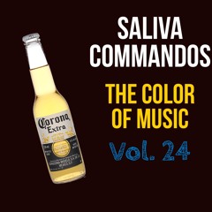The Color of Music Vol. 24