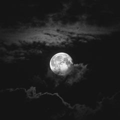 Steezy - The Weekend