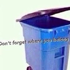 You belong in the trash ( feat. David Zerani)