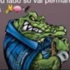 MEU BIGODIN DE TRALHA- DJ ANTES E DEPOIS