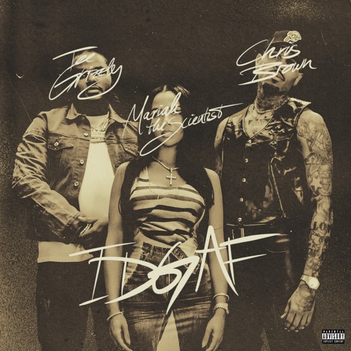 IDGAF (feat. Chris Brown & Mariah The Scientist)