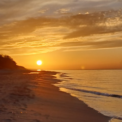 mixed &created by djane magicflow 2024-07-26_18h31m46[1]