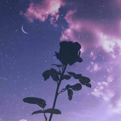 Moonlight Reverie
