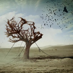 M0H4N - El Grito En Las Digresiones