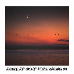 Awake at Night Podcast #024 Vaidas Mi