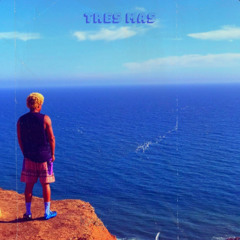 The Laws (Prod. Joe Bagale)