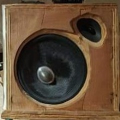 Seany Bizzla And J Cigger Strictly Wax Jungle Selecta