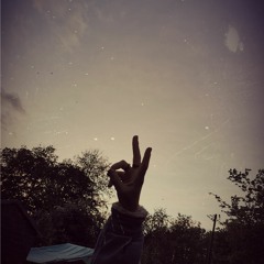 Starr #4