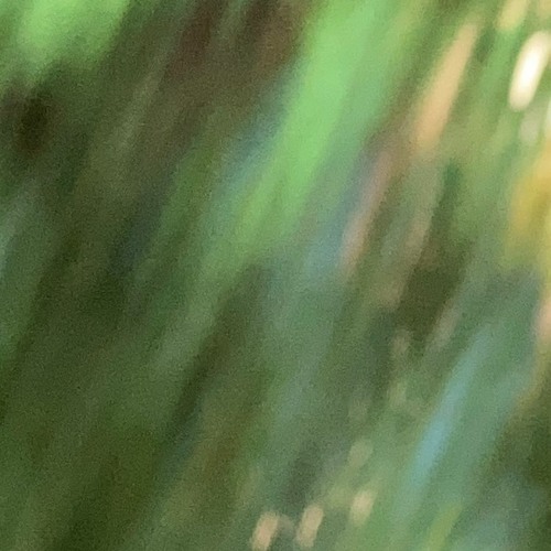 🎷