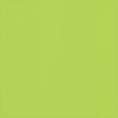 TonyMexikoo ~ Been On