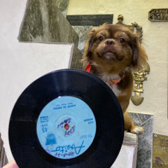 【ALL Vinyl】Cuban~Mexican latin groove purchased locally