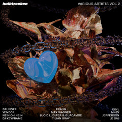 PREMIERE: Lucid Lucifer & guacamoe - Satori