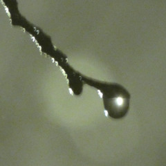 tushwoski - Pick it Up (prod. Frvr, svarg)