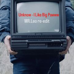 Unknow- I Like Big Pawww (MR.leo re-edit)