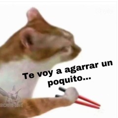 FEEDING STRAY CATS DOG FOOD (noise is noise)