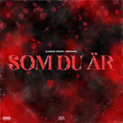 SOM DU ÄR (feat. Israfil)