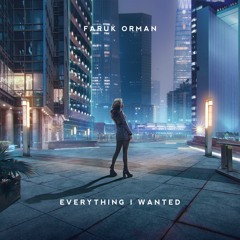 Faruk Orman - Everything I Wanted