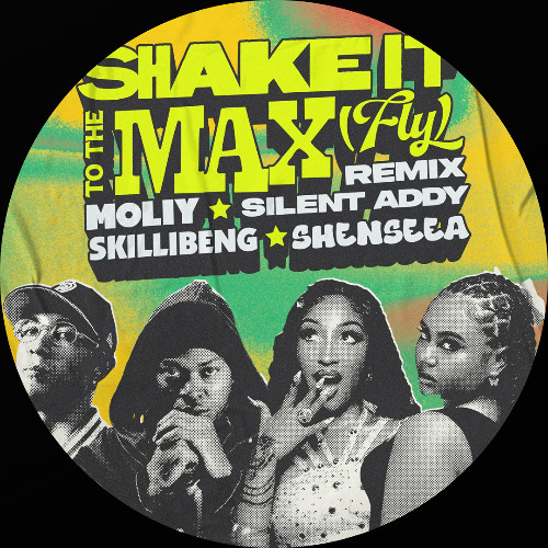 Shake It To The Max (VEDRA Remix) [DOWNLOADED BY PACO OSUNA] FREE DL