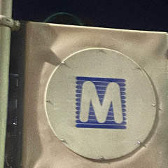 rose outta the dirt (itona)