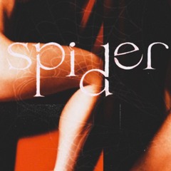 spiderboyswag prod. NNK