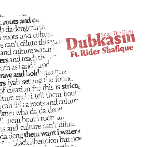 Enter the Dub (Mad Professor Mix)