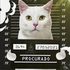VMZ - Cadê Meu Gato