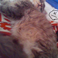 that's the one!! (1)