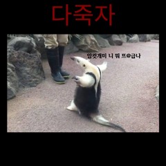 개미핥기❤️ (w. yE@H!, G!G, DOVA) prod. 남석현