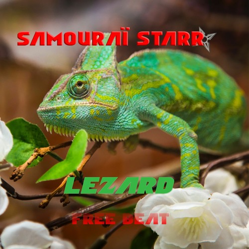 Lezard | Free beat 2022 for Profit