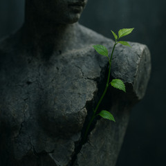 Growing Pains
