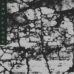 Premiere: Camiflage - Lemmoney