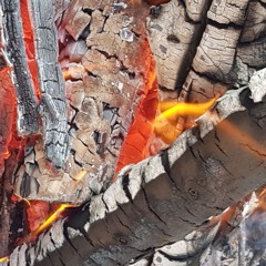 Stop Talking To Yourself