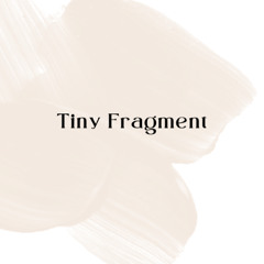 Tiny Fragment