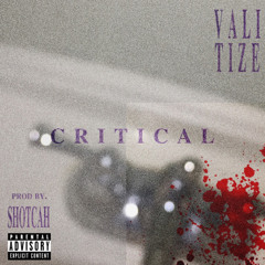 CRITICAL [Prod. $HOTCAH]