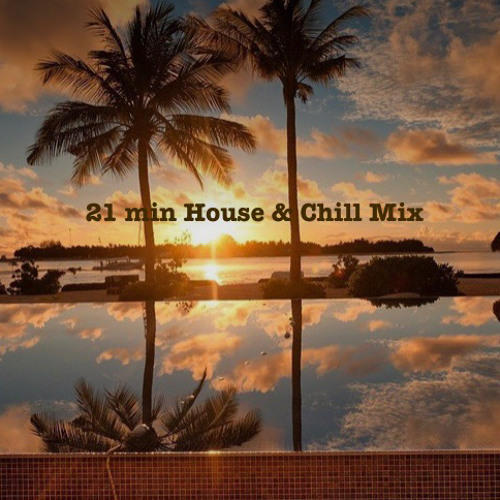 Big 21 Min House & Chill Spin Feat. Donald J Trump
