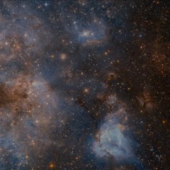 OFFSHORE - These Guys Are Slow, I’m Already Downstairs