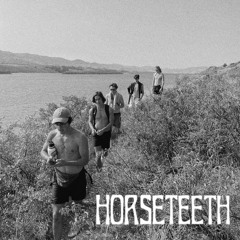 horseteeth