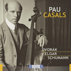 Concerto for Cello and Orchestra in B minor, Op. 104: I. Allegro