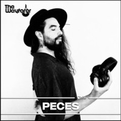 THE WAYFARER RADIOSHOW #89 - HOSTED BY DYLAKFUNK & DR OXIDO WITH PECES (CHILE)