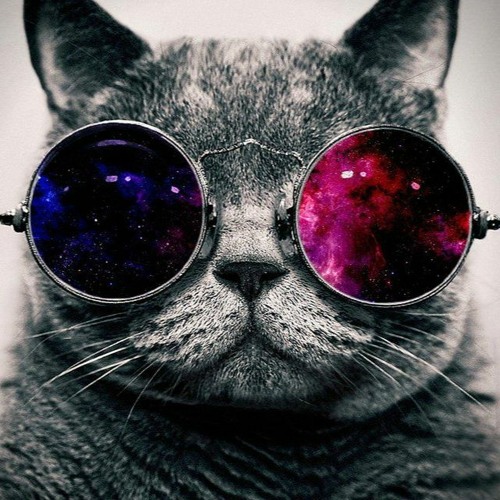 Chú Mèo - Bích Phương - Remix - DJ Long Nhat