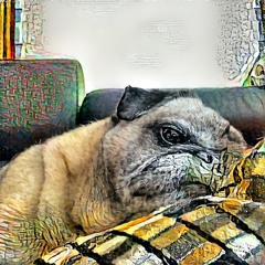 Dogs Unmixedremix