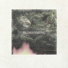 Drips Zacheer & Mononome - Blossoming