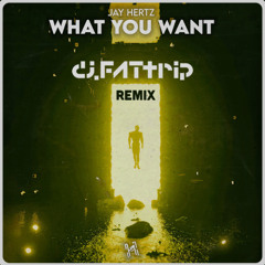 What You Want (djFATtrip Remix)