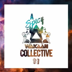 A Spicy Wakaan Collective 11
