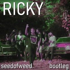 denzel curry - ricky (seedofweed. bootleg)