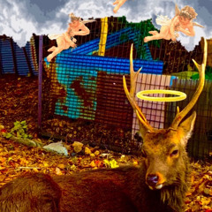 Ganēsha   Lil gignt  （caesar）