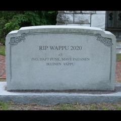 JVG - Ikuinen Vappu (feat. Daft Punk) [Mave Mashup]