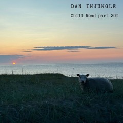 Dan InJungle - Chill Road 201 (DJ Liqiud DnB mix)