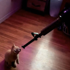 No Dignity - feat. $cb Waka (Prod. BMP)