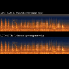 MKH 8020s and LCT 640 TSs: Parallel Sample 03
